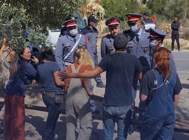 أكادير: السلطات تأمر بإخلاء مكان تستعمله ناشطة بيئية لجمع الكلاب الضالة
