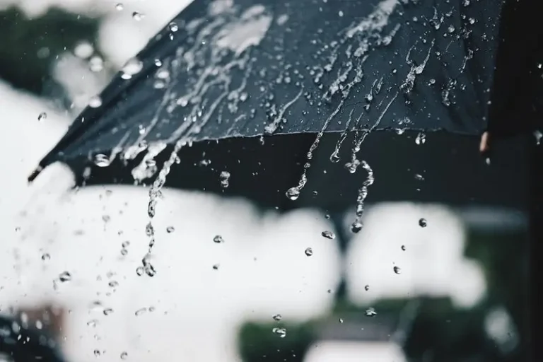 طقس اليوم: سحب ضبابية ورياح معتدلة مع درجات حرارة منخفضة في بعض المناطق