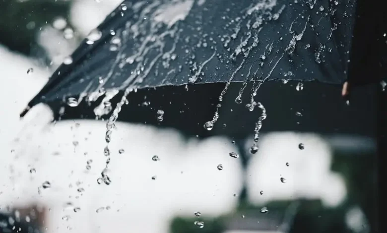 طقس اليوم الإثنين.. أمطار وثلوج متوقعة على بعض المناطق طقس اليوم الإثنين.. أمطار وثلوج متوقعة على بعض المناطق
