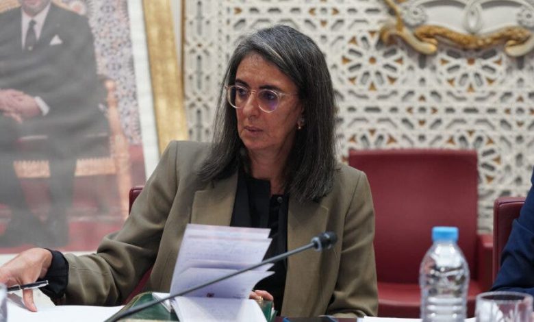 العلوي تستعرض أولويات مشروع قانون مالية 2025 أمام الملك العلوي تستعرض أولويات مشروع قانون مالية 2025 أمام الملك