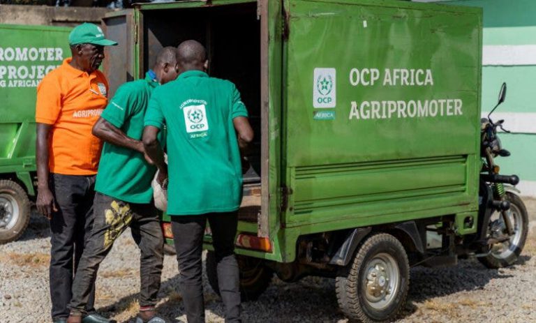 المغرب يواصل انفتاحه على إفريقيا من خلال مشاريع مبتكرة لدعم فلاحي القارة