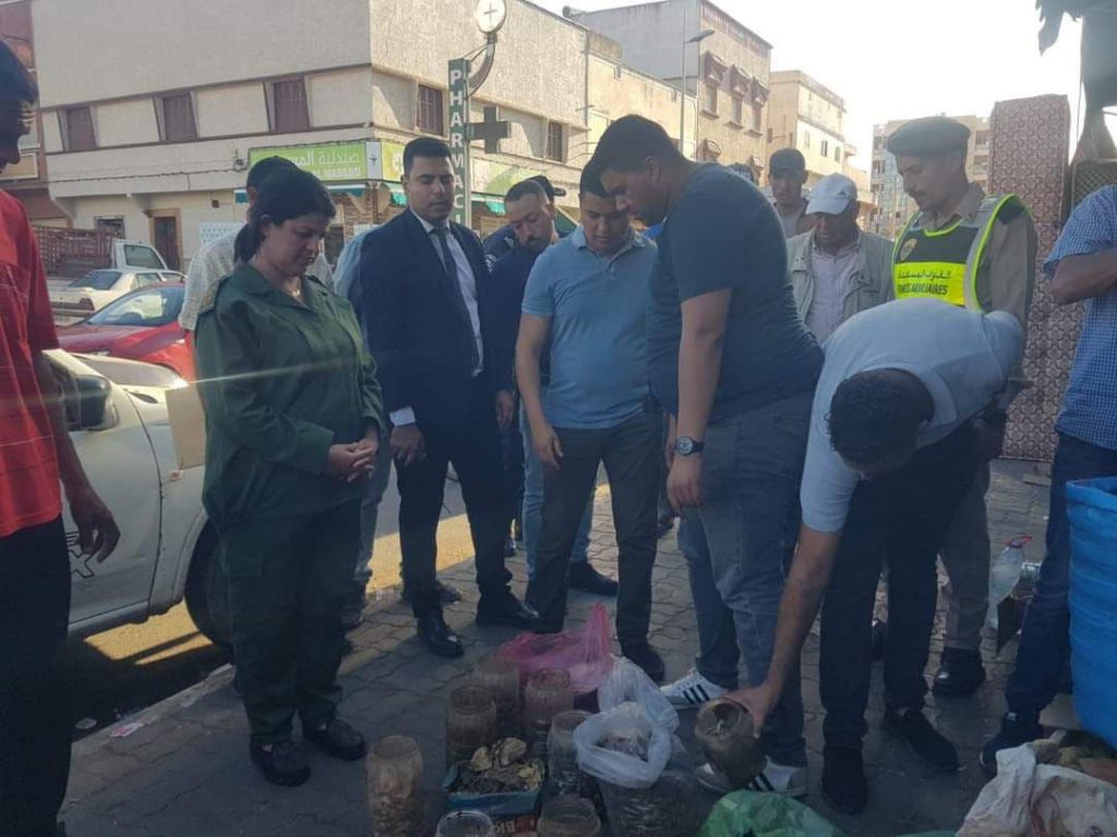 سيدي بنور.. اعتقال “مشعوذ” وحجز جلود ثعابين و رؤوس حمير وكلاب