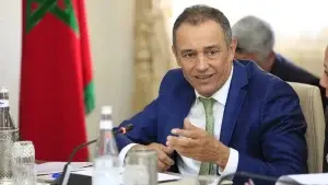أحمد رضا الشامي