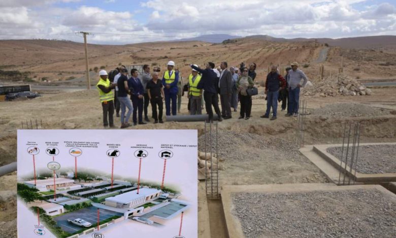 وجدة أنجاد.. انطلاق أشغال بناء محجز للكلاب والقطط الضالة
