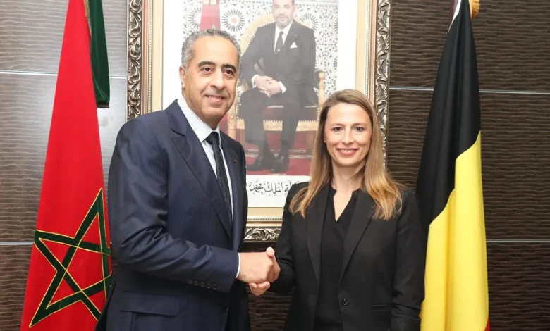 الرباط.. حموشي ونظيرته البلجيكية يناقشان مكافحة الإرهاب والتطرف الرباط.. حموشي ونظيرته البلجيكية يناقشان مكافحة الإرهاب والتطرف