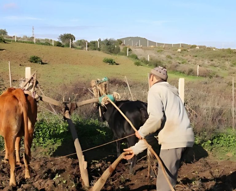 تأخر الدعم والإعانات عن فلاحي بولمان يصل لقبة البرلمان