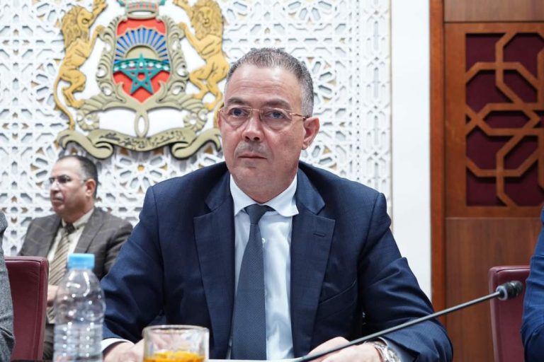 لقجع: “أدوية تستورد بسعر 10 دراهم وتباع ب70 و80درهما”