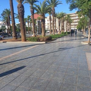 وجدة .. حملة نظاقة وتحرير الملك العام بأهم الشوراع والأزقة 13 وجدة .. حملة نظاقة وتحرير الملك العام بأهم الشوراع والأزقة