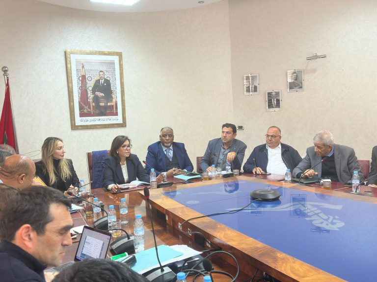 الدريوش: الأسماك السطحية الصغيرة تمثل 80% من المفرغات الوطنية