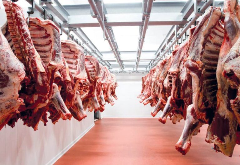 الولايات المتحدة تضاعف جهودها للهيمنة على سوق اللحوم الحمراء بالمغرب