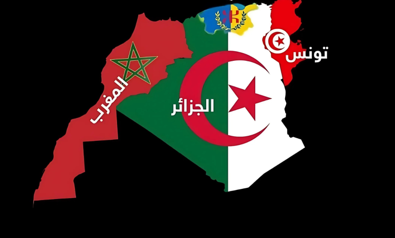 تبون يهاجم مقترح الحكم الذاتي ويغفل مطالب تقرير مصير منطقة القبائل تبون يهاجم مقترح الحكم الذاتي ويغفل مطالب تقرير مصير منطقة القبائل