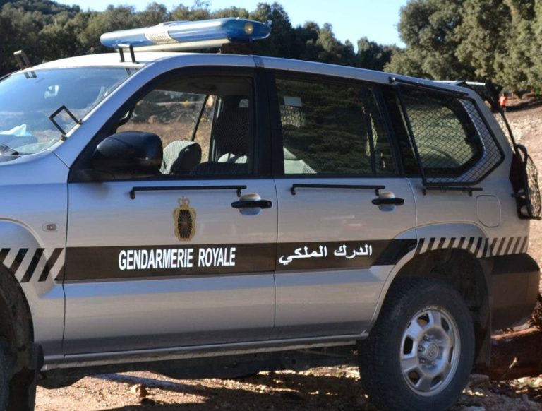 جمجمة طفل مجهول الهوية تستنفر درك جهوية فاس جمجمة طفل مجهول الهوية تستنفر درك جهوية فاس