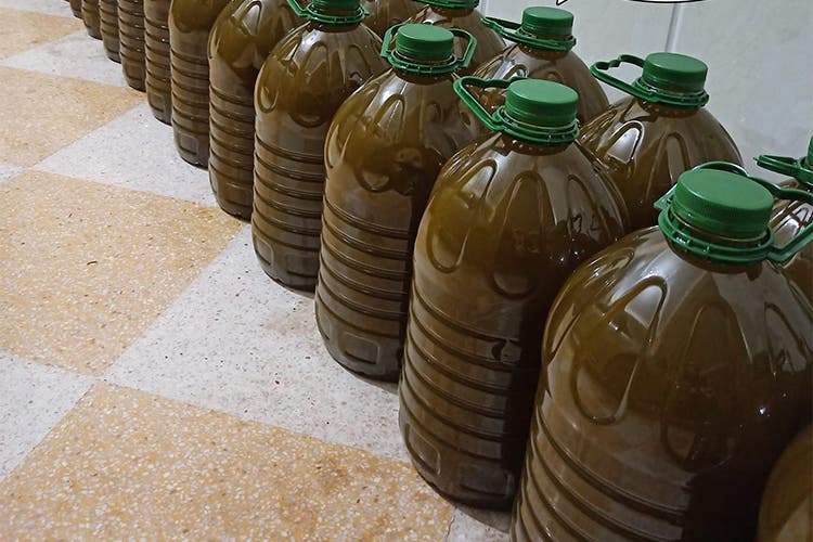 حجز أطنان من زيت الزيتون المغشوش نواحي بني ملال