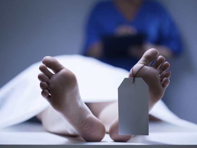 خنزير بري ينهي حياة شابة معيلة لأسرتها في مراكش