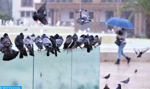 مقاييس الأمطار المسجلة بالمملكة خلال الـ24 ساعة الماضية مقاييس الأمطار المسجلة بالمملكة خلال الـ24 ساعة الماضية
