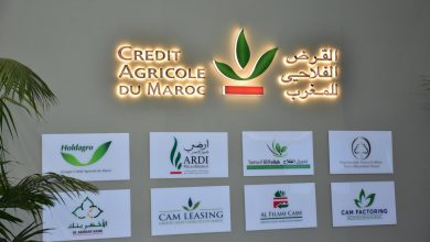 فضائح القرض الفلاحي.. زبونية واغتناء مشبوه يهز ثقة الفلاحين بالمؤسسة