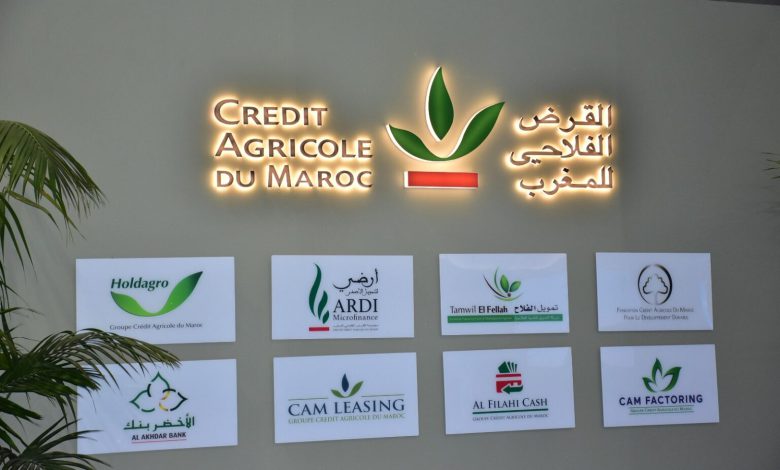 فضائح القرض الفلاحي.. زبونية واغتناء مشبوه يهز ثقة الفلاحين بالمؤسسة فضائح القرض الفلاحي.. زبونية واغتناء مشبوه يهز ثقة الفلاحين بالمؤسسة