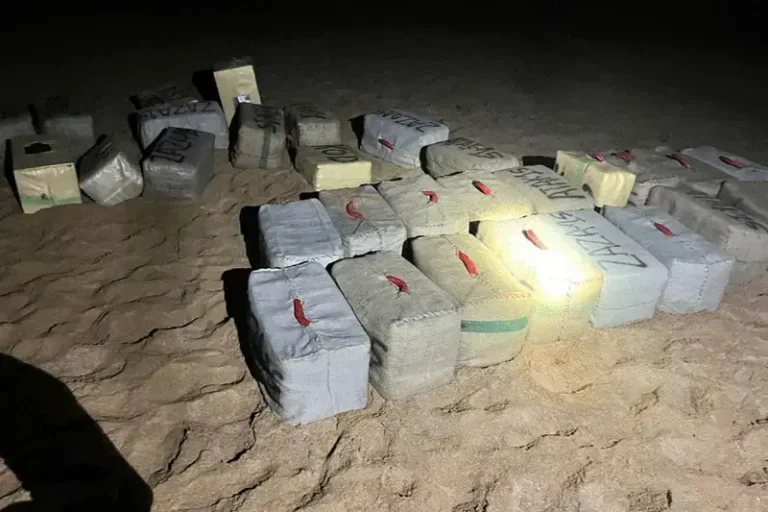 الدرك يحجز طنين من الحشيش بجماعة امجاو بإقليم دريوش