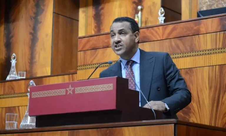 برلمانية تتهم فريقها البرلماني بـ«قمع صوتها» ومنعها من مساءلة الحكومة