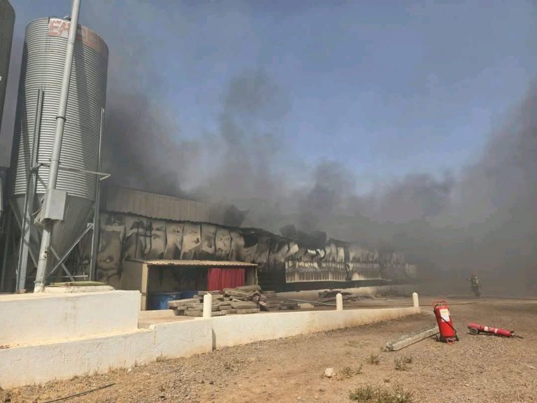 اندلاع حريق في أكبر وحدة لإنتاج البيض بالرحامنة