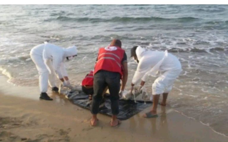 العثور على جثة شاب من جرسيف في شاطئ ميامي ببني أنصار