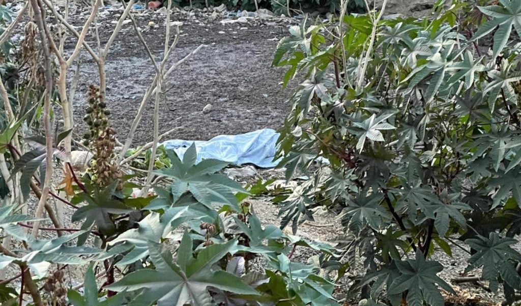 طنجة.. العثور على جثة مسن مفقود منذ أسبوعين بواد بير الشفاء