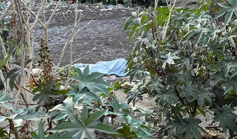طنجة.. العثور على جثة مسن مفقود منذ أسبوعين بواد بير الشفاء