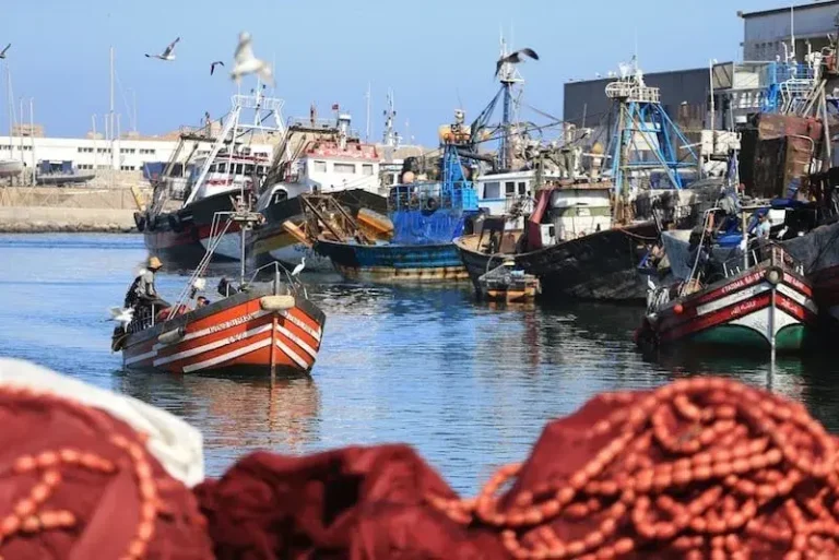 انخفاض مفرغات الصيد البحري بميناء الناظور