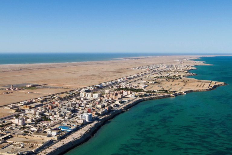 29 مليون درهم لإطلاق مشروع تطوير الحزام الأخضر بالداخلة